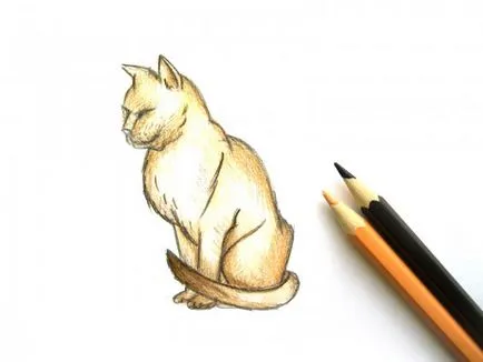 Как да се направи котка постепенно молив