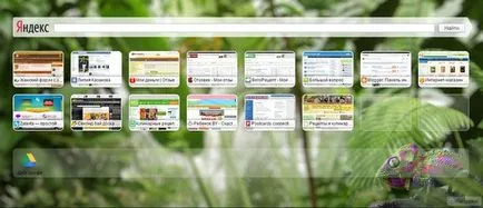 В Google Chrome, за да изричното панел