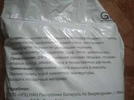 Как да расте лук на перваза на прозореца, блог Iriny Zaytsevoy