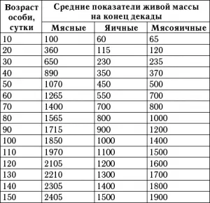 Как да расте пиленца от инкубатора с минимални загуби