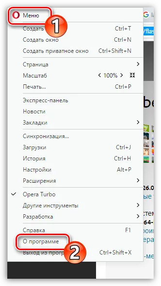 Как да се даде възможност на Flash Player в Opera (може да) Как да се даде възможност на Flash Player в Opera