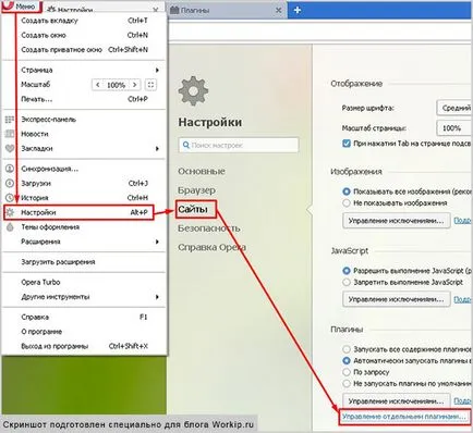 Как да се даде възможност на Flash Player в операта стъпка по стъпка ръководство