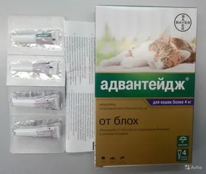 Advanteydzh капки за котки, обучение и противопоказания