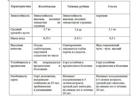 отглеждането на Калина, тайните на къща