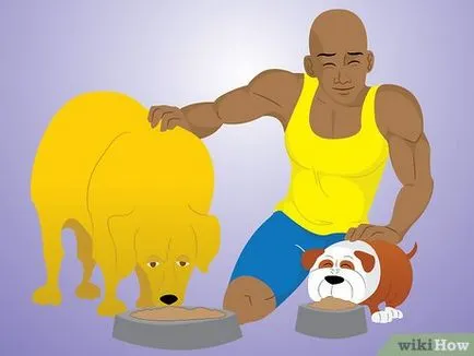 Как да живеем в една къща с няколко кучета