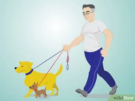 Как да живеем в една къща с няколко кучета