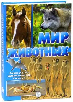 Книгата е какво да се прави, ако