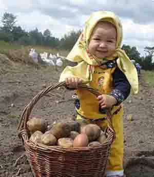 бебешки картофи