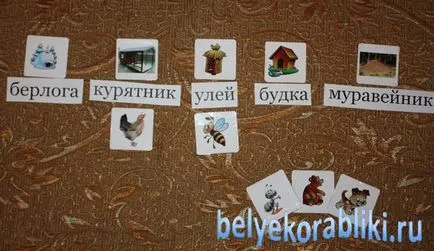 Картички, който яде и кой къде живее