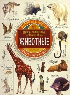 Книгата е какво да се прави, ако