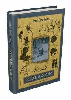 Книгата е какво да се прави, ако