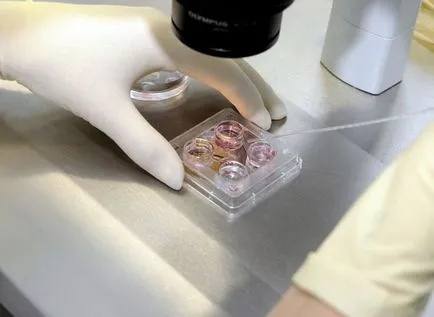 Кратък доклад за еко деня - пълно описание на процедура