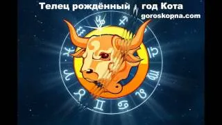 Заек (Котка) съвместимостта на мъже и жени с други знаци