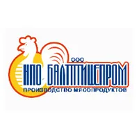 Пилета на едро, охладени пилета и пилешко месо на едро