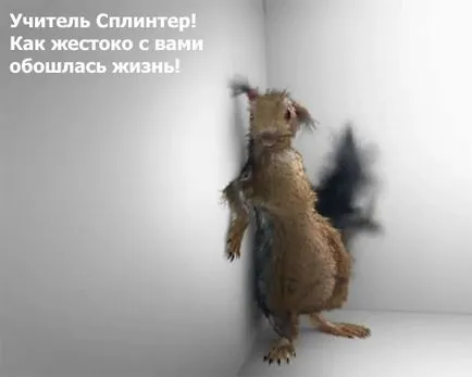 Kudyapliki и ада на катерица съживи социална реклама в България тук даваме залепване реклама!