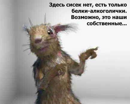 Kudyapliki и ада на катерица съживи социална реклама в България тук даваме залепване реклама!