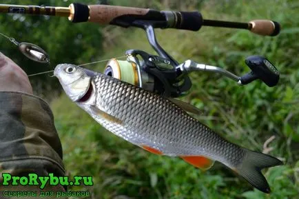 Риболовът с предене