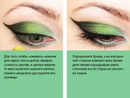 Eye грим стъпка по стъпка снимки за сиви очи (очи) Eye грим стъпка по стъпка снимки за сиви очи