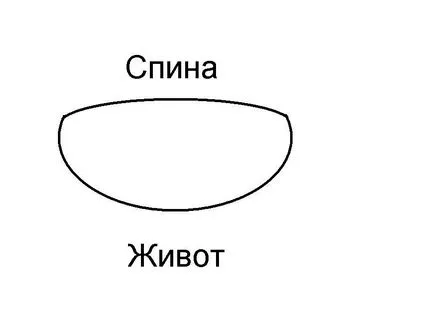 Лукът от лешников с ръцете си, всичко той (извършва на ръка) Лукът от лешников с ръцете си, всичко той