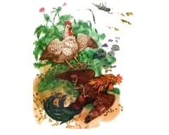 Bear и слънце (п