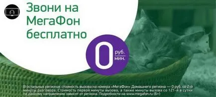 Мегафон, скорост на трансфер до нула, описание и коментари