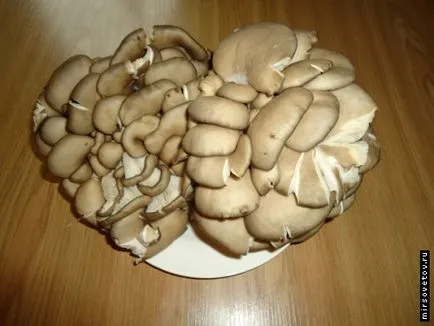Мариновани стриди гъби, рецепта със снимка (мариновани гъби кладница) Мариновани стриди гъби, рецепта със снимка