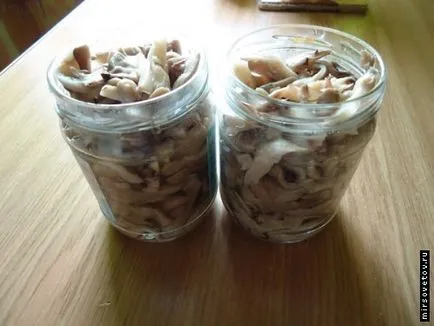 Мариновани стриди гъби, рецепта със снимка (мариновани гъби кладница) Мариновани стриди гъби, рецепта със снимка