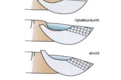 Лак за уроци за начинаещи (нокти) Лак за уроци за начинаещи