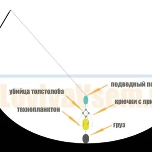 Както хване толстолоб