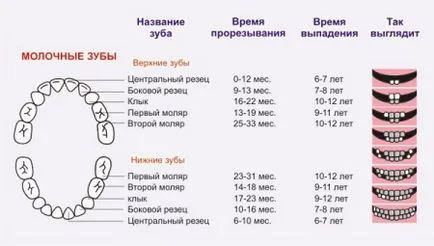 Както зъбите започват да се катерят