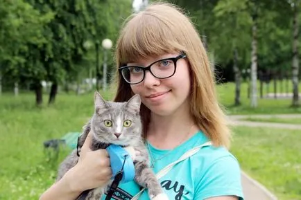 Котката и котката ангажиран