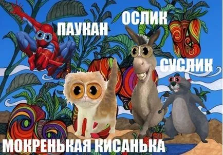 Магаре, момче за всичко, Paukaa, Netlore Майкъл Yasnov, магаре момче за всичко Paukaa последен шанс, деца, бебе