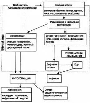 Периодите на инфекциозно заболяване