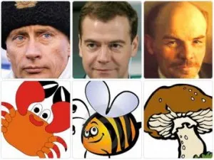 Отговори на всички въпроси, защо Путин - раци, Медведев - пчела, а Ленин - гъба (Медведев) Отговори на всички въпроси, защо Путин - раци, Медведев - пчела, а Ленин - гъба