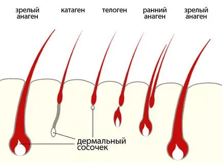 Pantovigar мнения косопад, указания, инструкции за използване