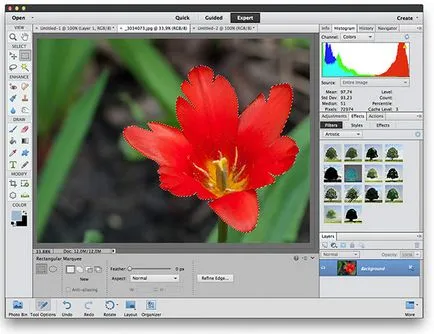 Photoshop Elements и Photoshop