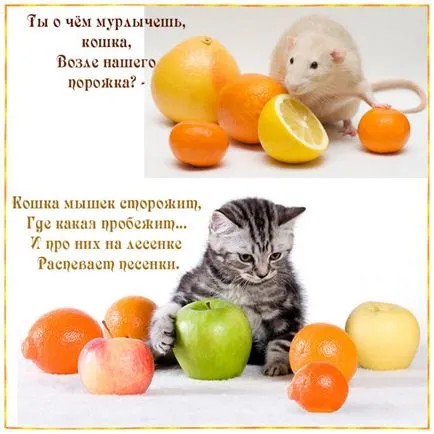 Защо котките мъркане