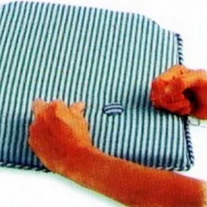 Възглавнички за столовете