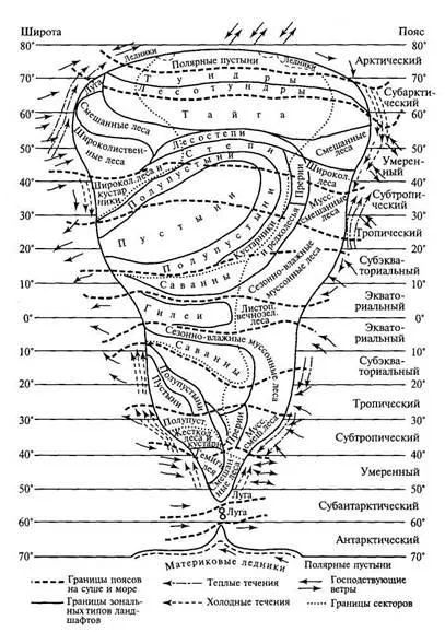 Обяснете двузонова структура - studopediya