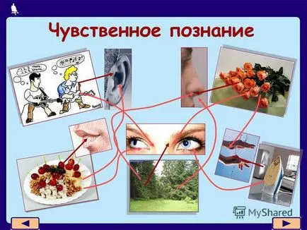 Представяне на 1 на 12 проучването, отколкото е информацията за лицето - това е известно,
