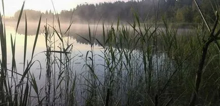 Хранене шаран на къси fishings