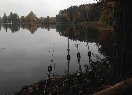 Хранене шаран на къси fishings