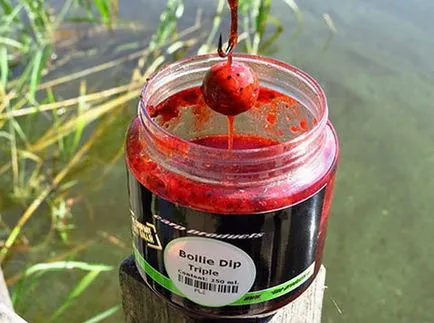Хранене шаран на къси fishings