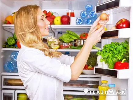 Принципът на работа на хладилника и нейното устройство