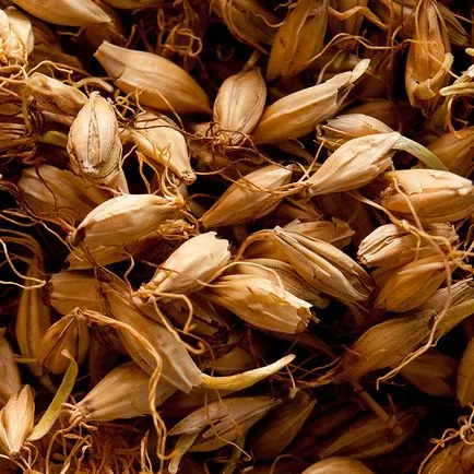 Получаване на малц, homebrewer