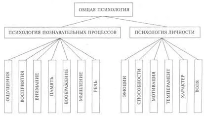 Психология като наука - studopediya