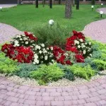 Рози в страната (38 снимки) особено издръжливи, трайни насаждения, как да правите снимки и видеоклипове