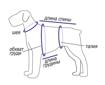Шият дрехи за кучета сами