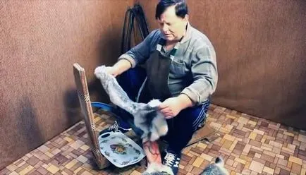 Дресинг заешки кожи у дома
