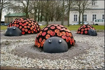 Крави в
